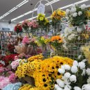 장미그린빌라 | 다이소 조화로 웨딩 스냅촬영 가성비 부케만들기