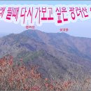 내서읍727 이미지