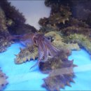 대포항 제1주차장 이미지