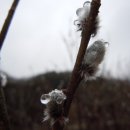 화양정비 이미지