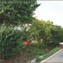 대산읍 충의로 이미지