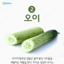 과일채소