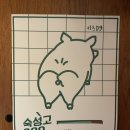 카츠D9(디나인) 이미지