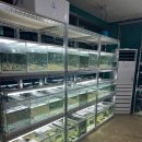 증평수족관 이미지