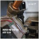 두나의 하루 이미지