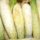 (주)효원푸드 - 7741 | (주)효원푸드