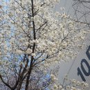 한솔단지내 공인중개사사무소 이미지