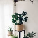 청량환경