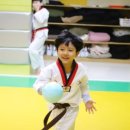 킹 태권도장 이미지