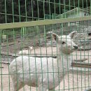 환호농장 이미지