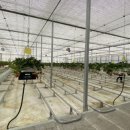 평동농장 이미지