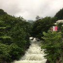 뮤지엄스테이 이미지