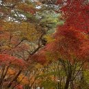 연화약수터 이미지