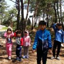 능교초등학교 이미지