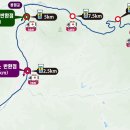 지정대회 청송사과트레일런(10월25일 일) 이미지