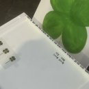 5월 끝자락👏 한 달 식비 20만원 가능할까