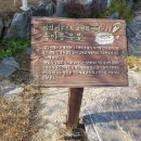 느티나무 할아버지 이미지