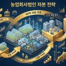 주식회사함께가자우리이길을부동산중개법인 | 농업회사법인 정책자금 60억 조달 전략, 부결되는 재무 구조와 해결 방법