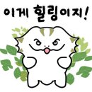 대룡산오토캠핑장 이미지