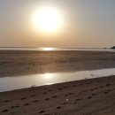 볼음도길 이미지