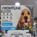 독플러스 이미지