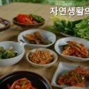 자연생활의집청도