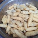 복이네 농장 이미지