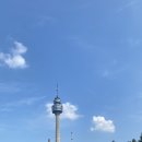 매네농장 | 주말 이월드 야간개장/ 유모차대여 / 83타워 포토존