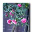 동백빌딩 이미지