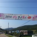 삼척꿀벌농장