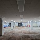 고려페인트 | 대전 법동 페인트 업체 상가 지하 내부도장 현장 후기