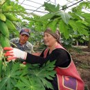 박씨농장 이미지