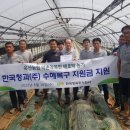 충북청과 이미지