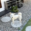 시작에머물다 이미지