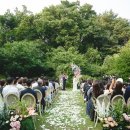 내곡동439 | W1-2. [헤이스가든]: 완벽한 숲속 결혼식을 위하여..! 야외웨딩베뉴 투어 후기~