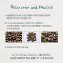이뉴 이미지