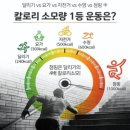 석수1동-1 이미지