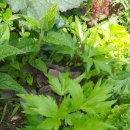 감당농장 이미지