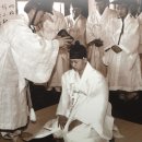 짝퉁머리