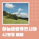 봉산휴먼시아공인중개사사무소 이미지