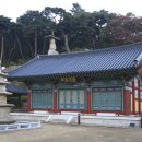 천년의 하루 이미지