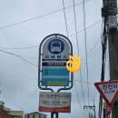 가야늘푸른약국 이미지