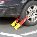 보니스테이 이미지