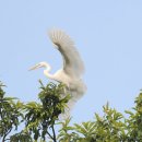 돈수재 | 영암 돈수재(惇修齋)