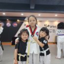 용인대효동태권도장 이미지