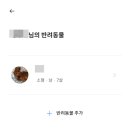 펫플래닛 | 펫시터 어플 펫플래닛 이용해본 후기. 반려동물 강아지 돌봄 서비스 앱