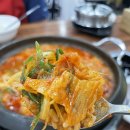 배양리두루치기 이미지