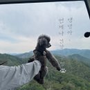 케이모터스 | 강원도 춘천 삼악산 케이블카, 220볼트 카페, 일점오 닭갈비 후기