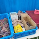 금당목장 | 제주ATV, 면허없이 즐기는 제주이색체험 금당목장ATV