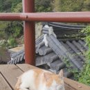 별빛산장 | 남해 9박10일 8일차 카페 잔잔/ 금산 보리암 금산산장/ 힙한식/ 다랭이마을 / 유서방회떠가시다/ 팜프라촌